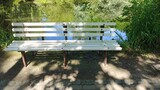 bench in the park .....
