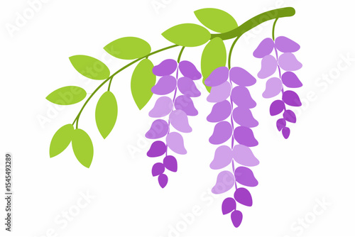 A lush grapevine branch with a ripe bunch of grapes alongside a delicate lilac branch