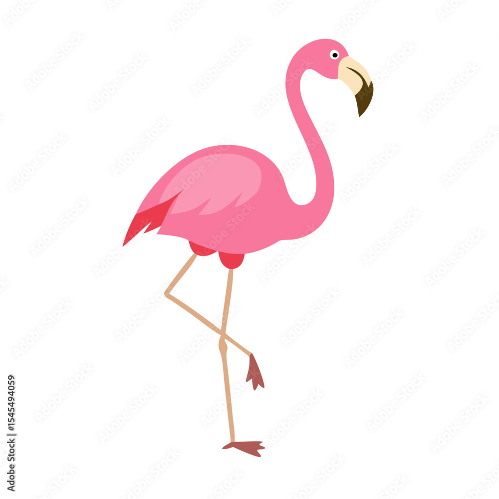Flamingo: The Elegant Pink Wader Flamingo: The Elegant Pink Wader