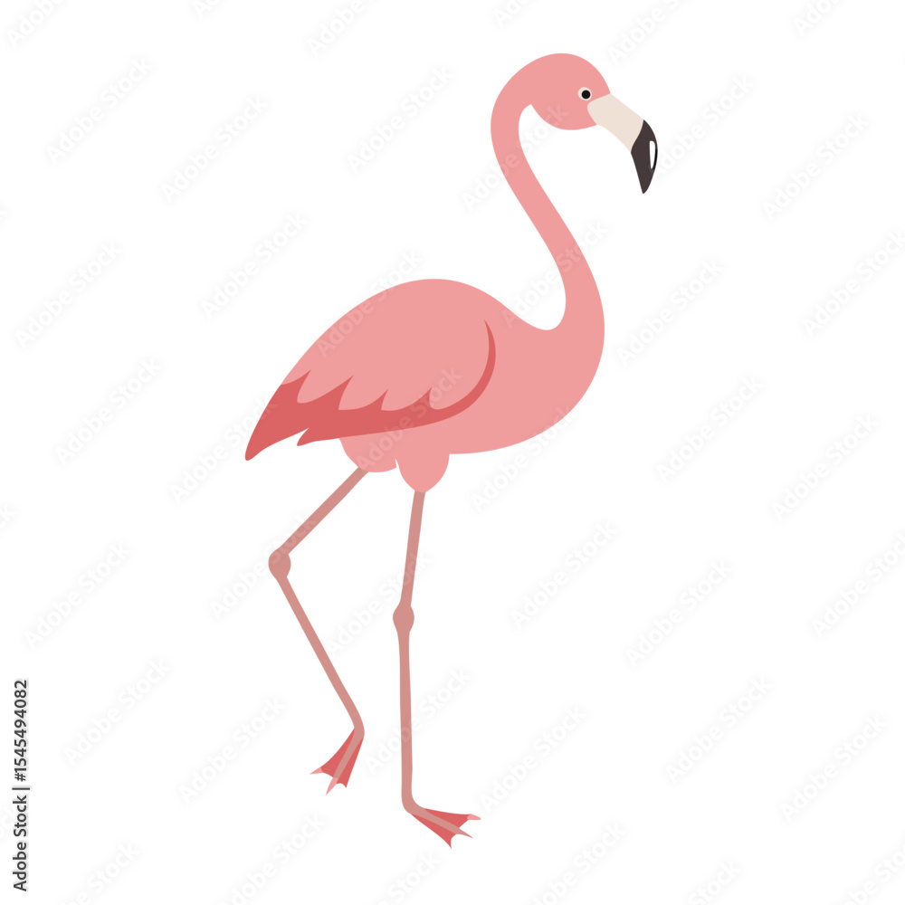 Flamingo: The Elegant Pink Wader Flamingo: The Elegant Pink Wader