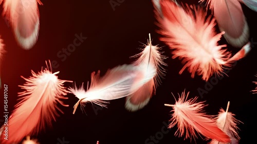 Floating colored feathers on a black background, creating a mesmerizing and dreamy visual effect