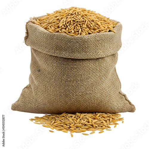 Canvas Sack Filled with Paddy Grains, Isolated on White or Transparent Background