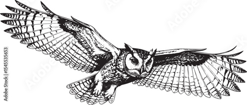 Wildlife Engraving: Owl in Flight Illustration