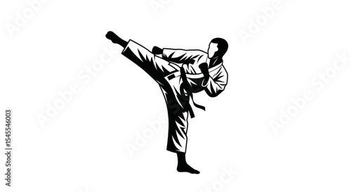 Martial Artist Executing a High Kick in a Dynamic Pose Isolated on White Background