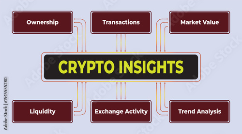 Visualizing Cryptocurrency Insights: Understanding Ownership, Transactions, and Market Value Dynamics