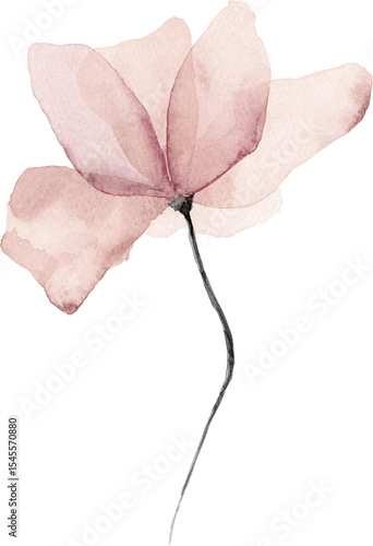 Pink flower watercolor painting isolated on transparent background