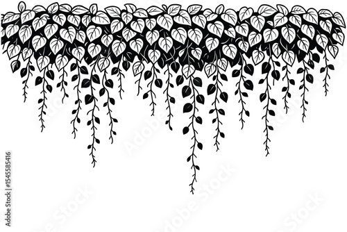A hanging vines illustration. Ideal for nature, garden, and decoration themes. Black and white line art on a clean background.
