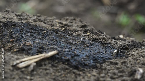 Wallpaper Mural 浅い被写界深度で撮影、地面にできる水たまりのマクロ映像 逆再生映像 Torontodigital.ca