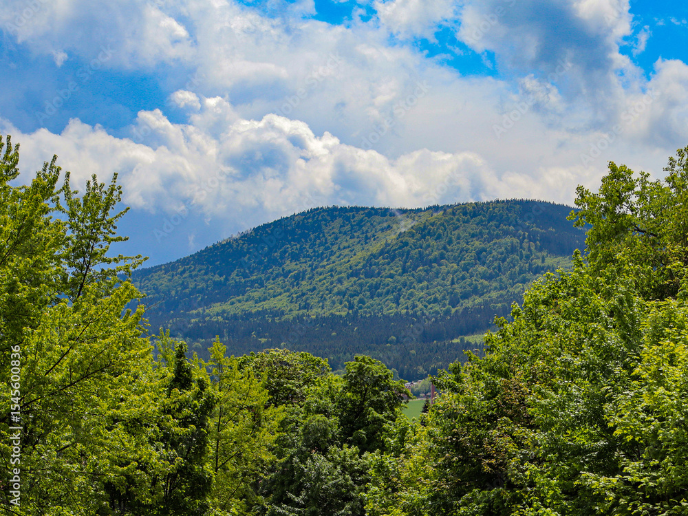 Obraz premium A landscape showcasing a vast green mountain covered with lush trees under a bright blue sky with puffy white clouds. The serenity of the nature scene is complemented by the peaceful green foliage