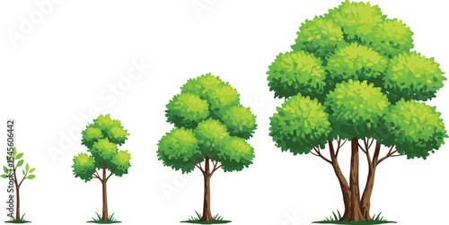 tree growth stages, sapling to mature tree, life cycle illustration, nature development graphic, environmental education, green plant evolution, hand-drawn tree diagram, biological process art