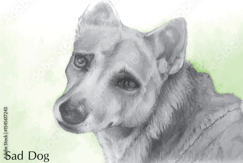 Sketch of a sad Thai mixed breed dog.