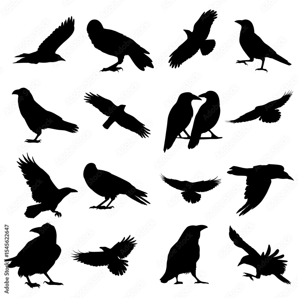 Obraz premium 17 crow and raven silhouettes. Perfect for spooky scenes, gothic projects, or Halloween illustration packs.