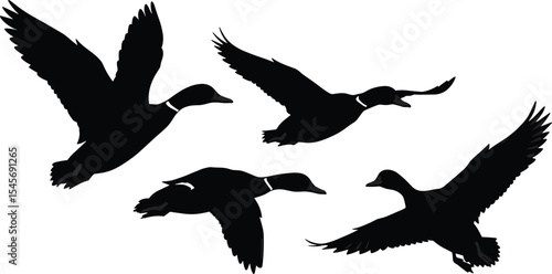 Flying duck silhouettes in motion, black bird vector illustration, wildlife animal design, waterfowl artwork in flight, nature inspired image, flock of ducks isolated graphic.