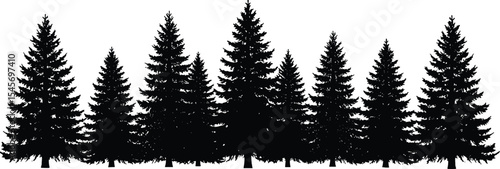 Silhouette pine trees vector, evergreen forest illustration, coniferous tree design, nature background, Christmas tree shape, woodland line art, black fir trees natural landscape graphic.