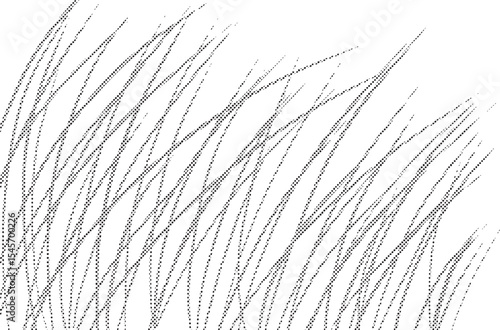 モノクロの草原の背景イラスト　Adobe Illustrator Artwork