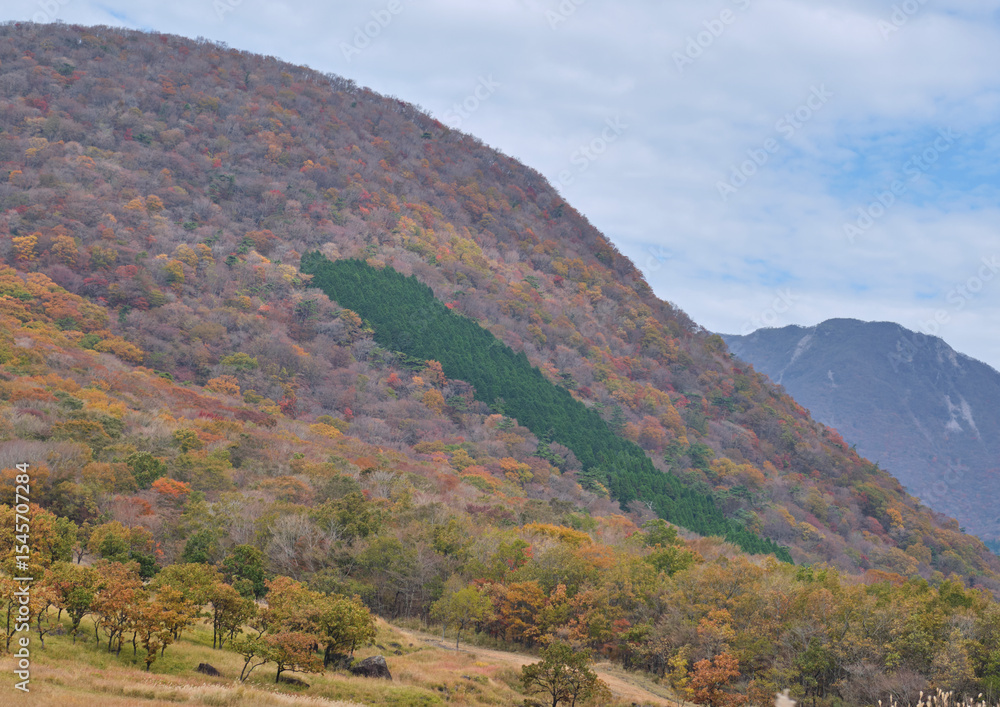 Fototapeta premium autumn in the mountains