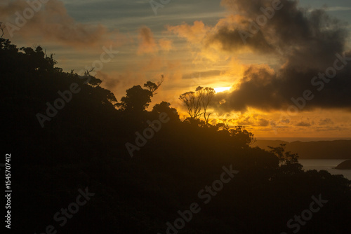 Wallpaper Mural 奄美大島の森から見る日の出風景。 Torontodigital.ca