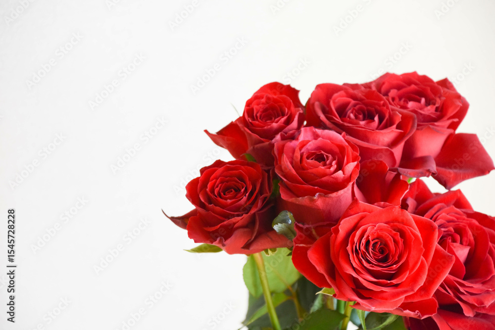 Obraz premium 赤いばら