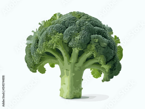broccoli vector isolated on white background