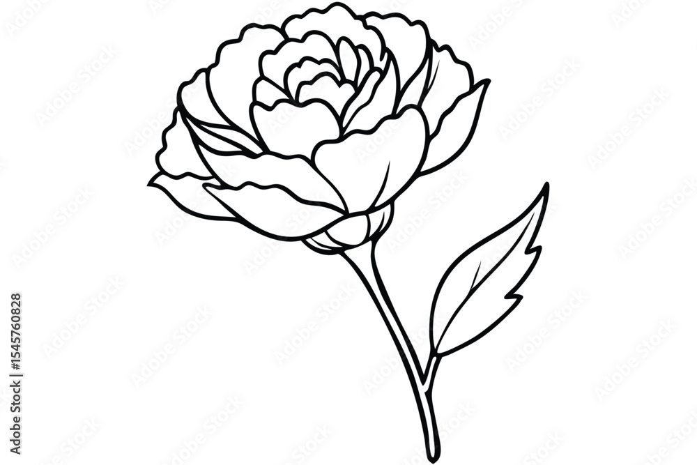 Elegant Line Art Carnation Flower Drawing Simple Botanical Illustration Elegant Line Art Carnation Flower Drawing Simple Botanical Illustration