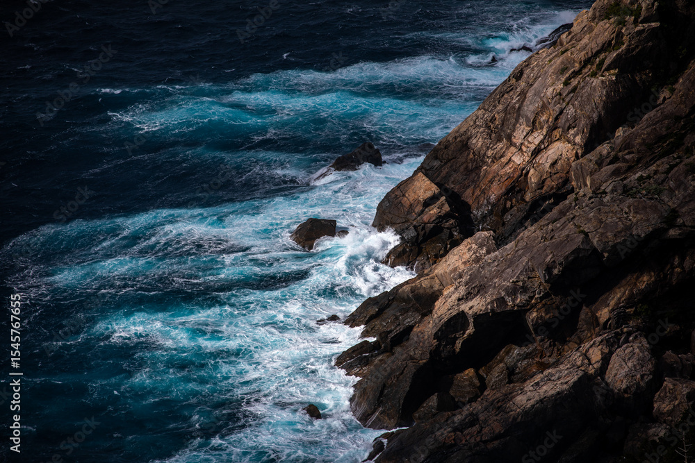 Obraz premium Forest Road in the western part of Yakushima Island, Kagoshima Prefecture, Japan, the scope of the World Natural Heritage