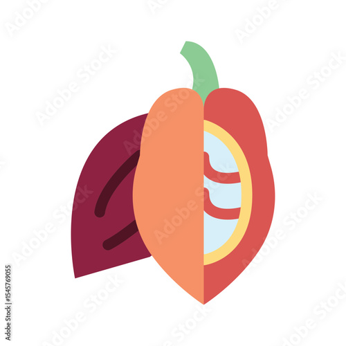 Cocoa Fruit icon