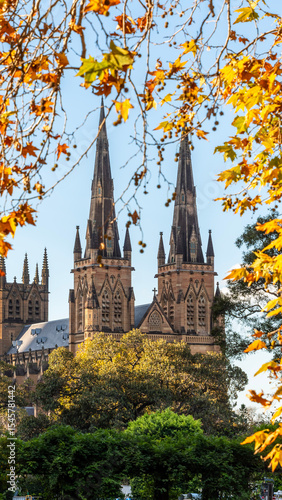 St Mary's Cathedral, Sidyney Australia
