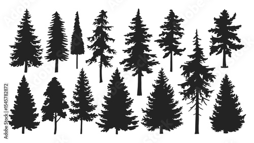 Extensive Collection of Detailed Pine and Spruce Tree Silhouettes, Ideal for Creating Realistic Forest Landscapes, Winter Scenes, Outdoor Adventure Graphics, and Nature-Themed Designs