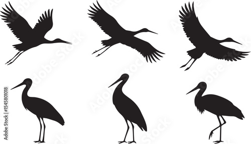 Crane birds in various standing and flying positions captured in bold silhouette style representing wildlife and wetland movement