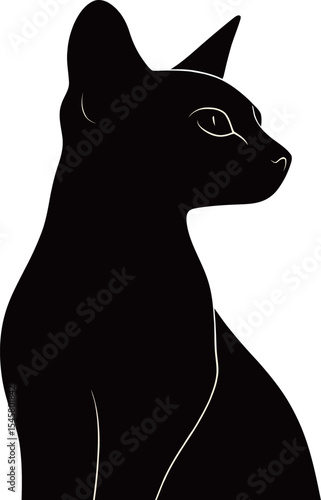 Elegant black cat silhouette with striking features against a white background.
