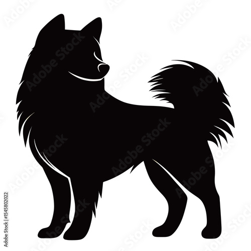 Silhouette of a proud black dog with a fluffy tail and attentive posture.