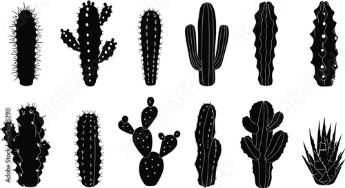 Silhouette collection of various cactus and succulent plants, desert botanical illustration, black and white cactus clipart, isolated vector cactus icons for design