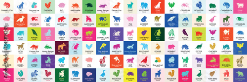 Animals logos collection. Animal logo set. Geometrical abstract logos. Icon design