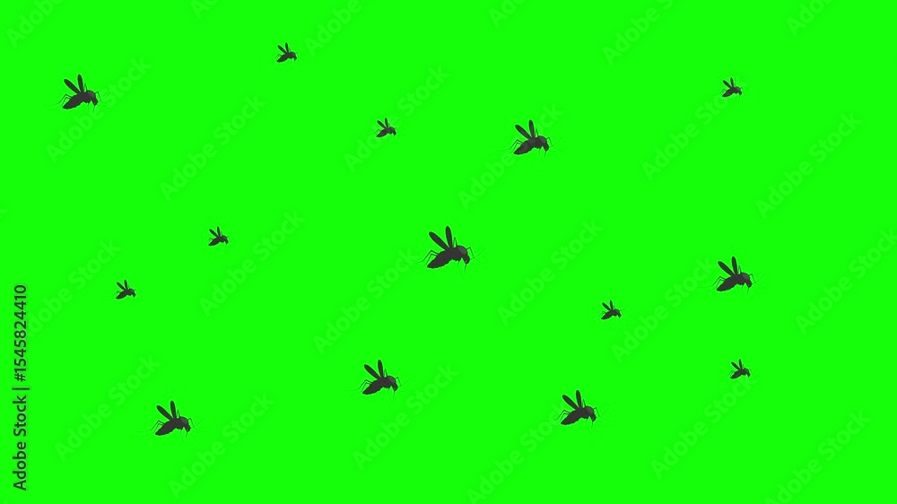 Animation of small mosquito group flying in circular motion on green screen. Animation of small mosquito group flying in circular motion on green screen.