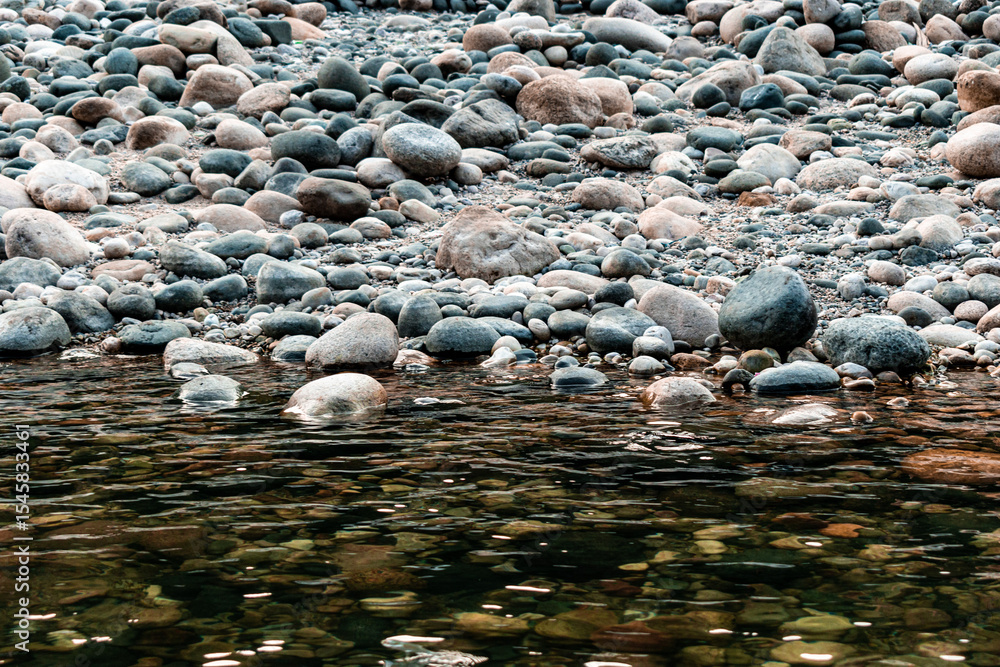 Obraz premium river in the forest