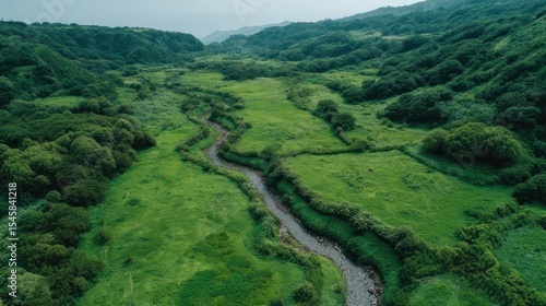 Exploring Lush Green Valleys: The Importance of Carbon Neutrality in Sustainable River Ecosystems