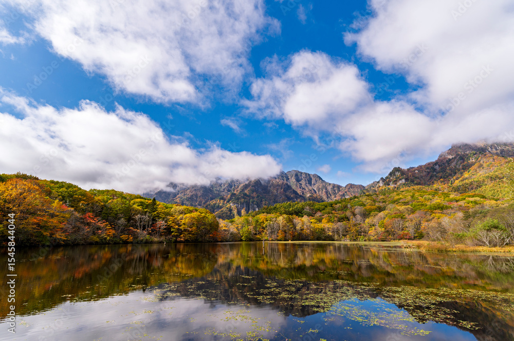 Fototapeta premium Autumn leaves at Kagami-ike pond reflect on the surface of the water of the Togakushi Mountain in Nagano, Japan.