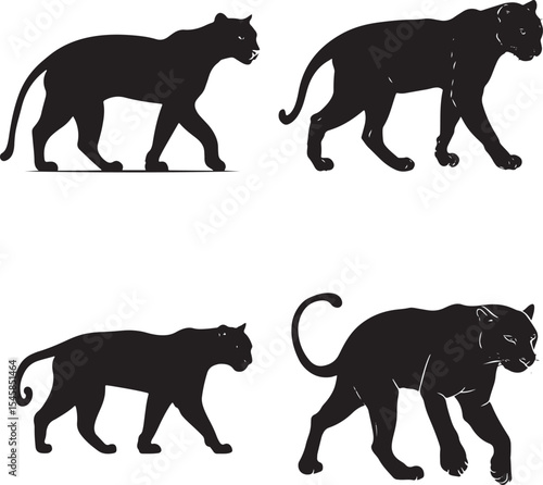 Panther Silhouettes in Motion – Black Big Cat Vector Set
Wild Cat Walking Poses – Black and White Panther Illustration
Majestic Jungle Predator Silhouettes – Panther and Leopard Vectors