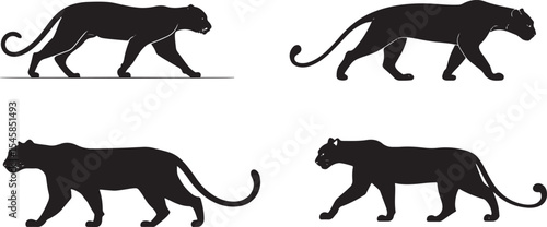 Panther Silhouettes in Motion – Black Big Cat Vector Set
Wild Cat Walking Poses – Black and White Panther Illustration
Majestic Jungle Predator Silhouettes – Panther and Leopard Vectors