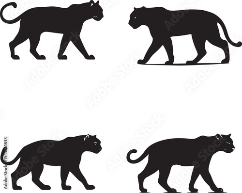 Panther Silhouettes in Motion – Black Big Cat Vector Set
Wild Cat Walking Poses – Black and White Panther Illustration
Majestic Jungle Predator Silhouettes – Panther and Leopard Vectors