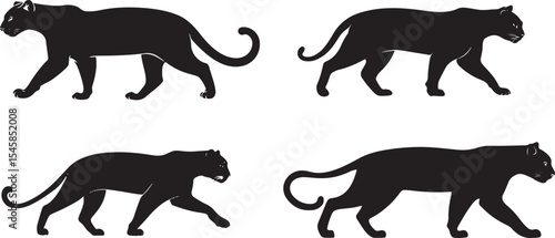 Panther Silhouettes in Motion – Black Big Cat Vector Set
Wild Cat Walking Poses – Black and White Panther Illustration
Majestic Jungle Predator Silhouettes – Panther and Leopard Vectors