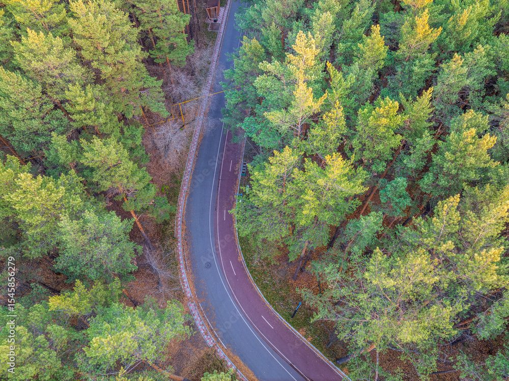 Fototapeta premium Aerial view of road in beautiful autumn forest at sunset. Beautiful landscape with empty rural road, trees with red and orange leaves.