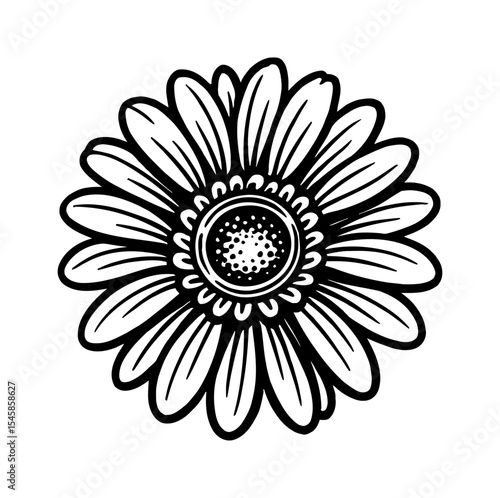 Detailed Black and White Line Art Illustration of a Daisy Flower on White Background
