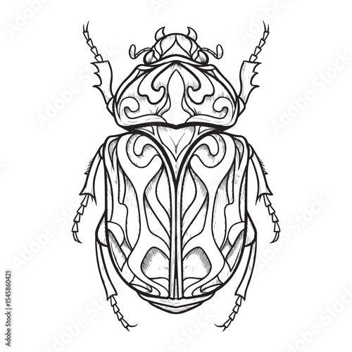 Ornate Black and White Beetle Line Art Illustration