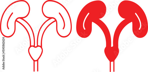 uterus, female reproductive system, medical diagram, anatomical illustration, biology, red outline, minimalist