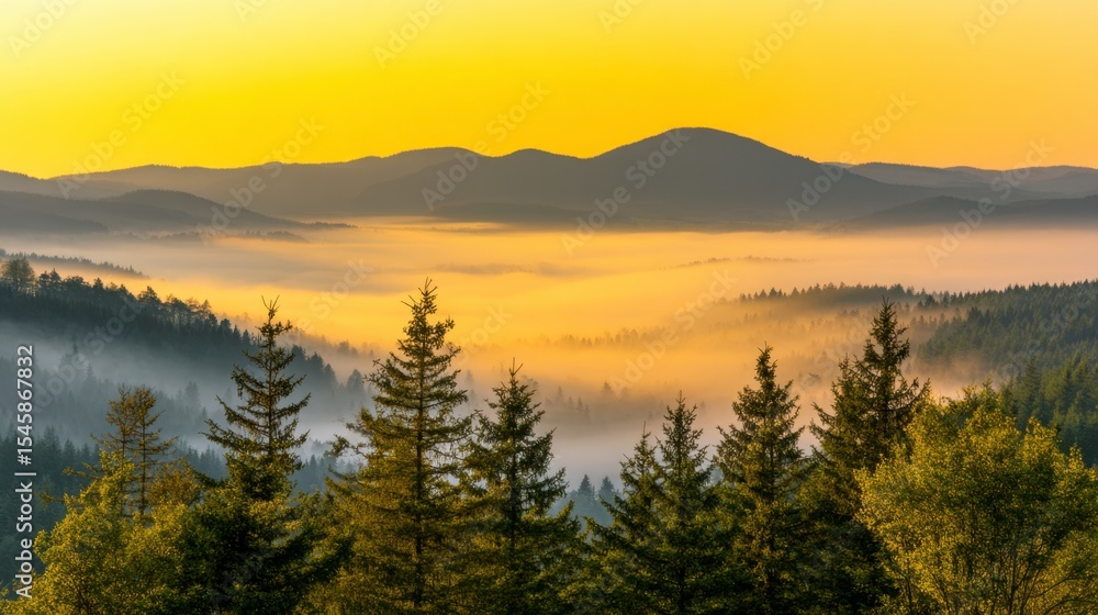 Fototapeta premium Mountain Forest with Morning Fog Landscape