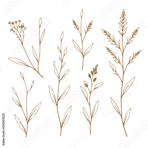 Native seeds and plants collection for conservation posters.  Display of indigenous heritage plants and seeds labeled for educational purposes.