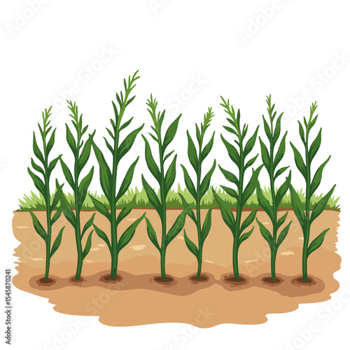 Community farming field with group planting crops. Indigenous peoples day celebration shows native traditions and cultural preservation of ancestral knowledge.