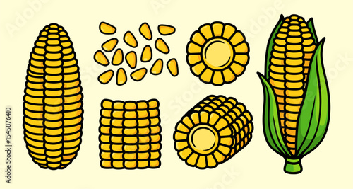 corn illustrations vector corn collections group set
