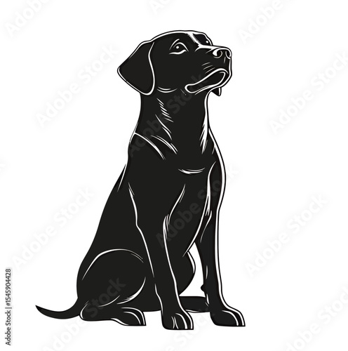 A sleek black Labrador Retriever sitting proudly, exuding loyalty and playfulness.